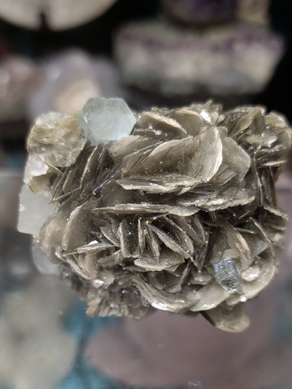 Aquamarine Specimen With Muscovite | Mica Rosette Cluster | Crystal Collector